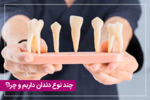 چند نوع دندان داریم و چرا؟